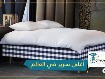 شاهد سرير مصنوع من شعر الخيل ويساوي أكثر من 150 ألف دولار