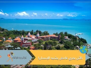 مخلوق غريب الشكل عائم على إحدى الشواطئ الصينية   هل شيبه الإنسان فعلا؟