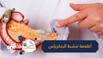 تعرف على الأطعمة التى تنشط البنكرياس   أبرزها الثوم والبصل