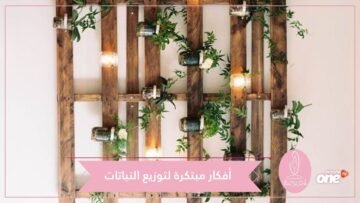 تعرفي على أفكار لتوزيع النباتات في المطبخ