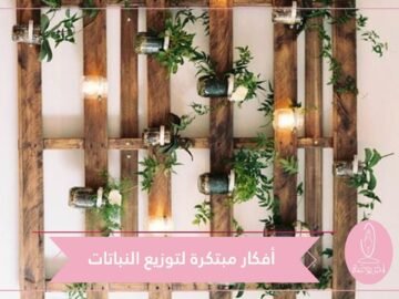 تعرفي على أفكار لتوزيع النباتات في المطبخ