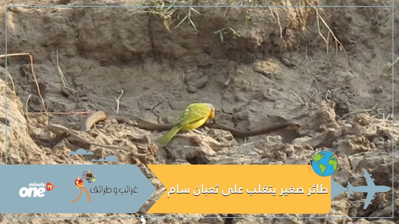 التحميل المسبق صورة