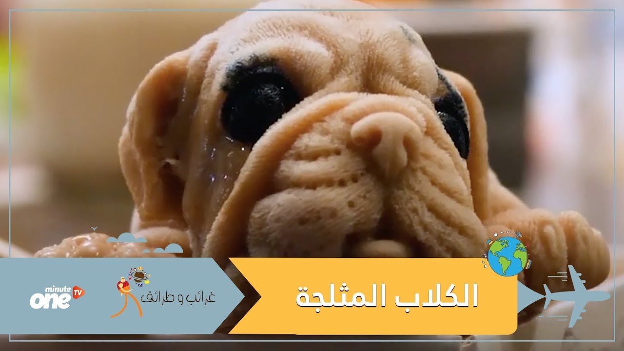 التحميل المسبق صورة