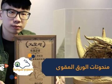 شاهد   فنان تايواني يصنع منحوتات مدهشة من الورق المقوى