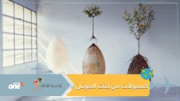 كبسولات من جثث الموتى لتحويل المقابر إلى غابات!