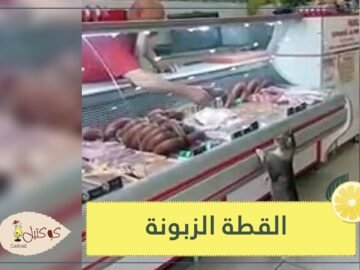 كلما شعرت بالجوع يخيرها بين أنواع اللحوم   قصة القطة والجزار التركي