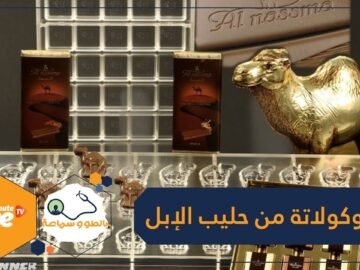 أول شوكولاته صحية من حليب الإبل لمرضى السكري