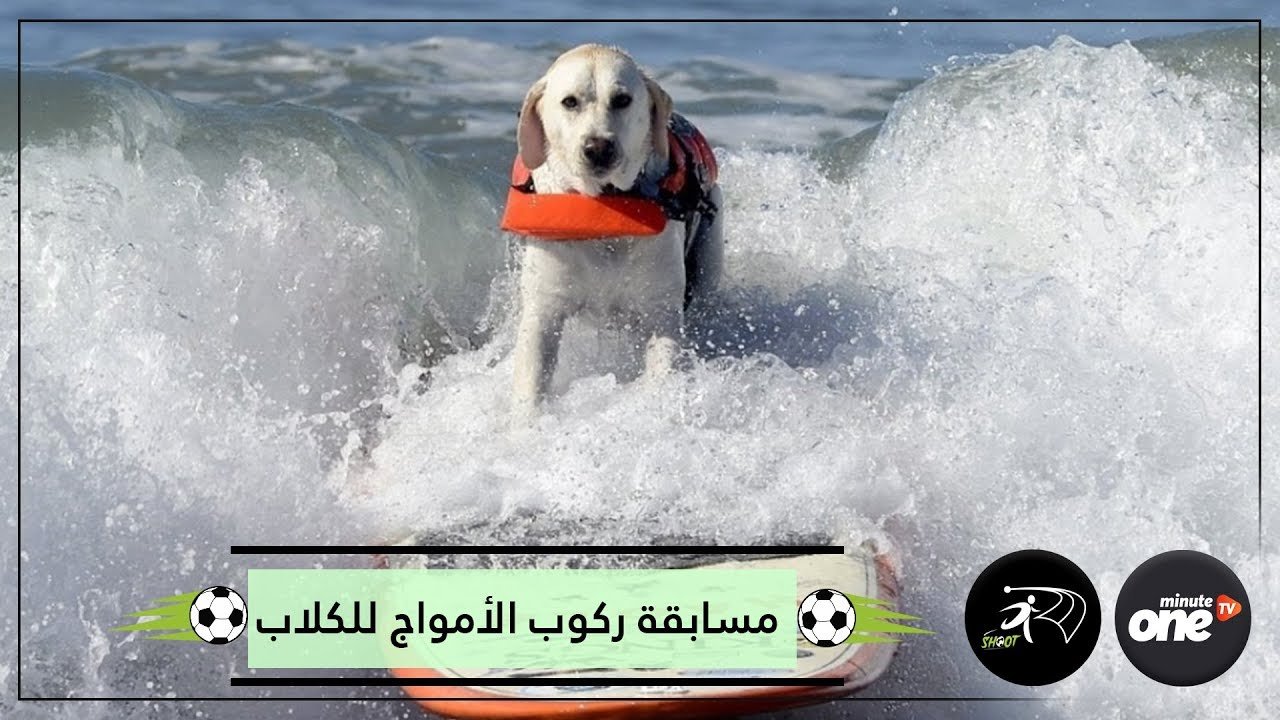 التحميل المسبق صورة