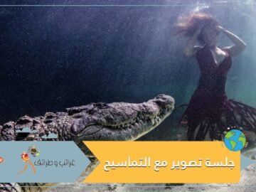 لقطات استثنائية.. جلسة تصوير لعارضة مع تمساح تخطف الأنفاس