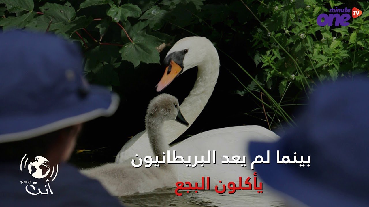 التحميل المسبق صورة