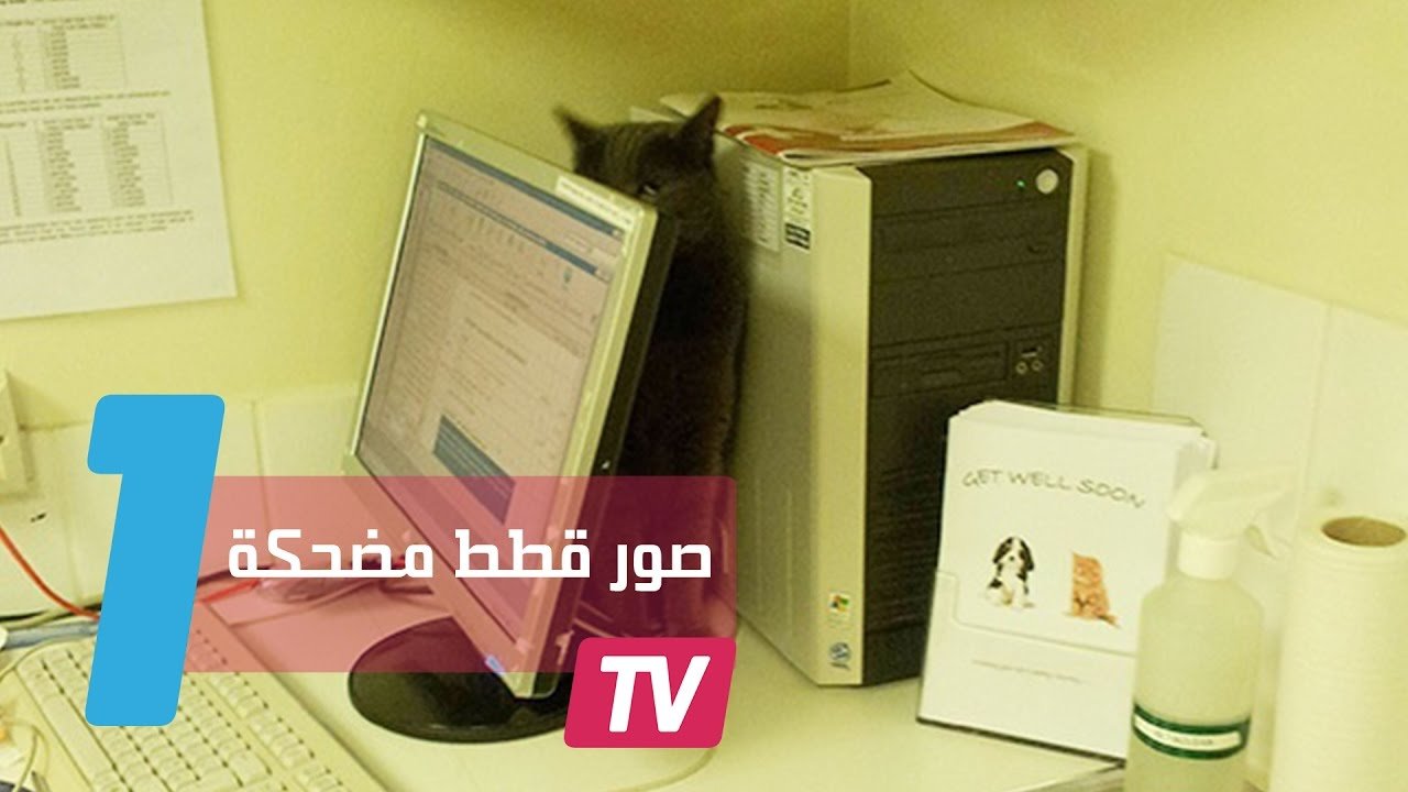 التحميل المسبق صورة