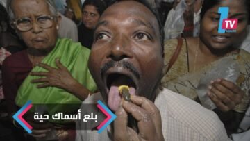 في الهند.. بلع الأسماك حية لعلاج الربو