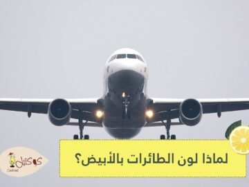 لهذه الأسباب.. تطلى الطائرات باللون الأبيض