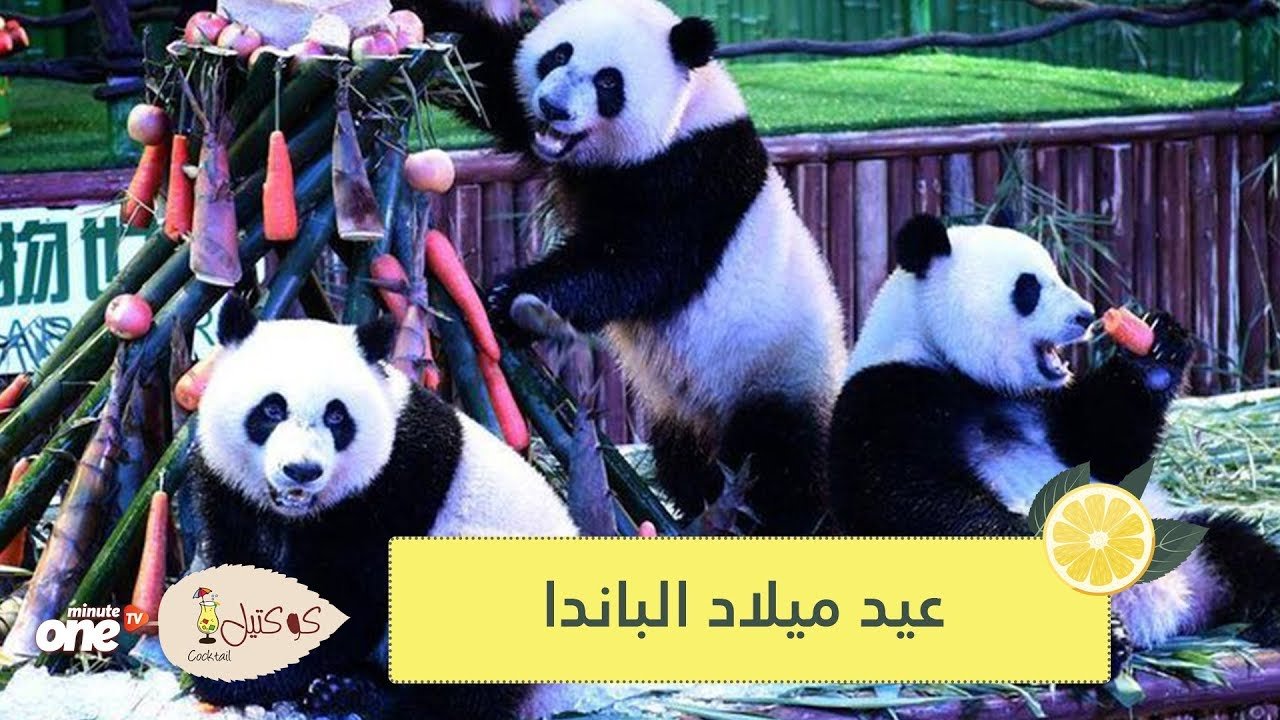 التحميل المسبق صورة