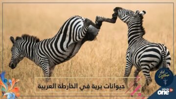 شاهد.. 3 حيوانات برية لا توجد إلا في الخارطة العربية