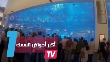 أكبر 3 أحواض سمك في العالم