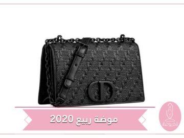 ديور تقدم حقيبة 30 Montaigne