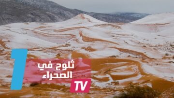 لأول مرة منذ 40 سنة.. الصحراء الكبرى تكتسي الثلوج
