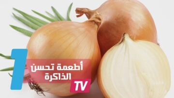 5 أطعمة لتحسين الذاكرة وعمل الدماغ