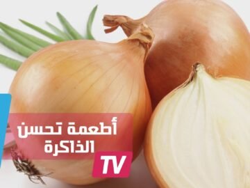 5 أطعمة لتحسين الذاكرة وعمل الدماغ
