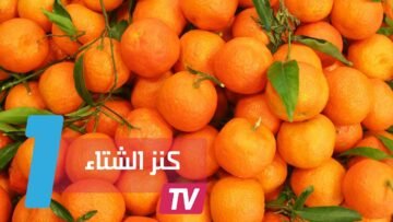 5 فوائد صحية مذهلة لفاكهة اليوسفي