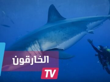 5 أشخاص يمتلكون قوى خارقة حقيقية