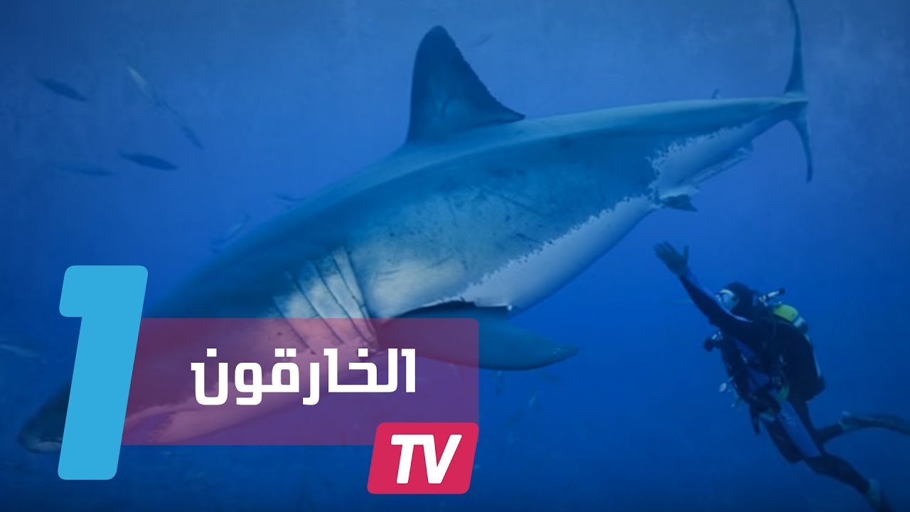 التحميل المسبق صورة