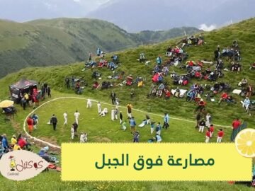 شاهد مصارعة فوق الجبل   تقليد من 500 عام في النمسا