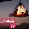 6 طرق لإبقاء شعلة الحب في علاقتك بزوجك