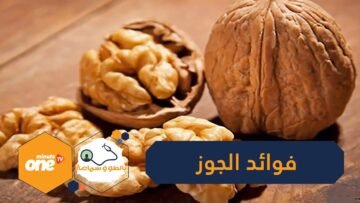 عدا عن كونه مفتاحا للرشاقة  7 أسباب تدعوك لتناول الجوز يوميا