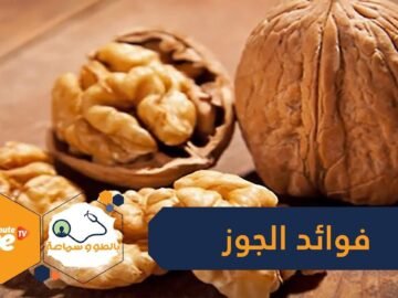 عدا عن كونه مفتاحا للرشاقة  7 أسباب تدعوك لتناول الجوز يوميا