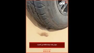 خاص: [ID: 6ppDO8Y60RA] Youtube Automatic