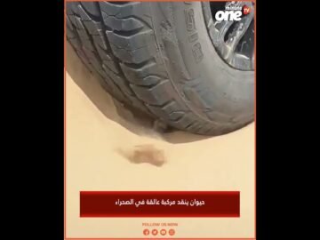 خاص: [ID: 6ppDO8Y60RA] Youtube Automatic