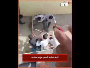 خاص: [ID: f5y1YPMtb1g] Youtube Automatic