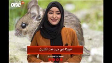 خاص: [ID: Jkud8iV4KDI] Youtube Automatic