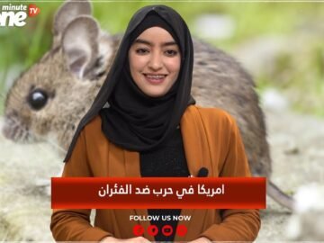 خاص: [ID: Jkud8iV4KDI] Youtube Automatic