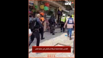 خاص: [ID: mQJZccDq-ME] Youtube Automatic