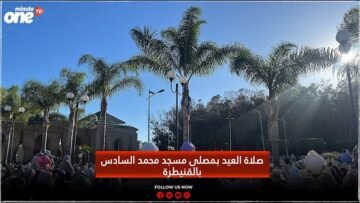 خاص: [ID: pZuUkcp5u64] Youtube Automatic