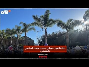 خاص: [ID: pZuUkcp5u64] Youtube Automatic