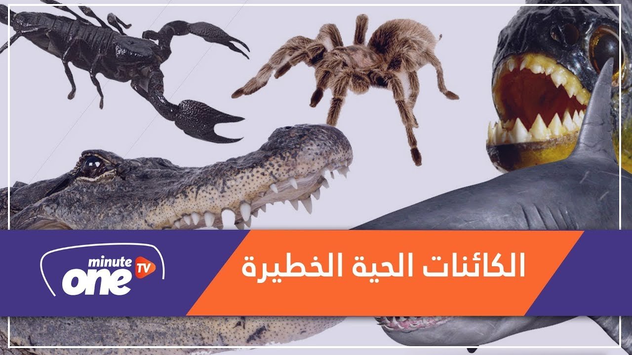 التحميل المسبق صورة