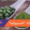 السبيرولينا من الأطعمة الخارقة… تعرف على فوائدها