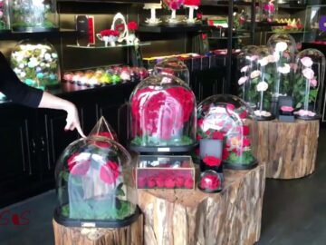 شركة تقدم ورودا طبيعية.. ولكنها لا تموت!