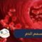 الإسهال والدوخة أبرز علامات تسمم الدم.. فما هي أعراضه الأخرى؟