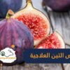 مع بداية موسم ظهوره فى الصيف.. التين يحارب الدهون الثلاثية ويخفض ضغط الدم