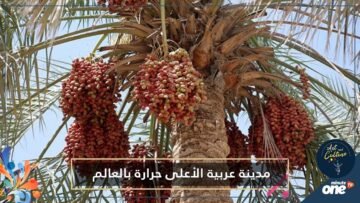 مدينة عربية تسجل أعلى درجة حرارة عالميا.. تعرف عليها!