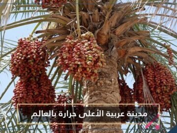 مدينة عربية تسجل أعلى درجة حرارة عالميا.. تعرف عليها!