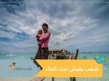 قبيلة الباجاو.. كالأسماك تموت دون ماء