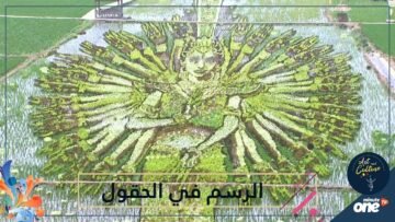 الرسم في حقول الأرز.. فن جديد يتقنة المزارعون الصينيون