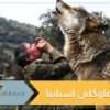 قصة الصبي الذئب.. تربى في الغابات وصدمته حياة البشر!