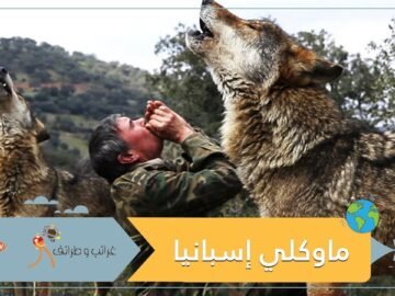 قصة الصبي الذئب.. تربى في الغابات وصدمته حياة البشر!